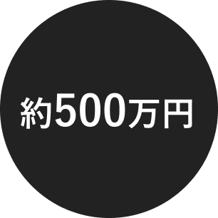 約500万円